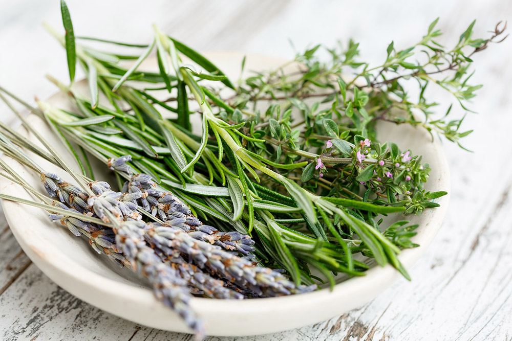ways to preserve herbs