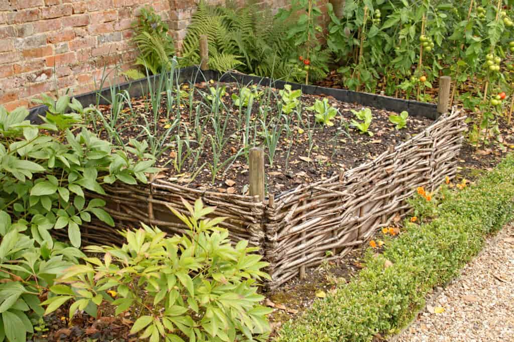 woven willow garden bed