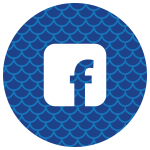 facebook icon