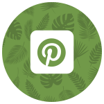 pinterest icon