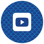 youtube icon