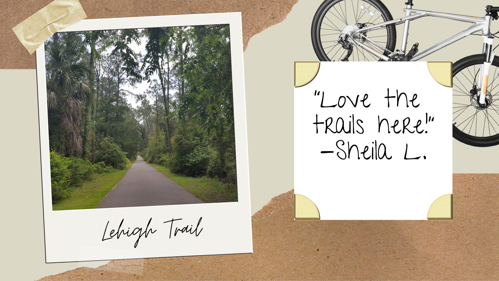 	Chrissy Edit: A path through the trees at Lehigh Trail in Palm Coast, FL