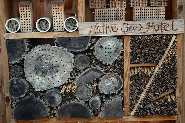 DIY bee hotel