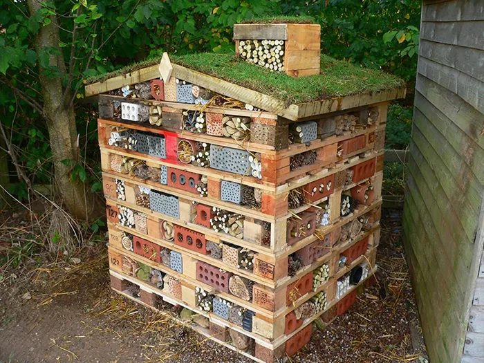 DIY bee hotels