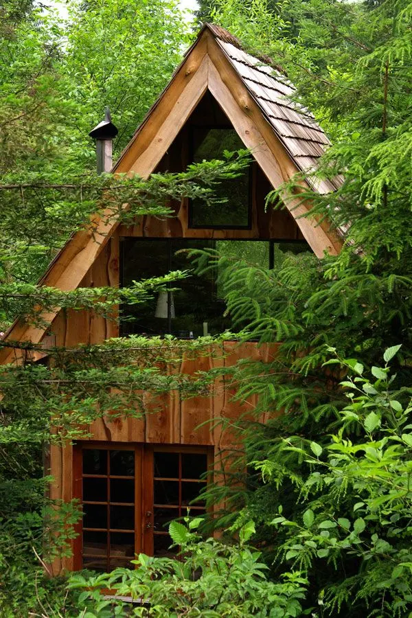 Brian-Schulz-Tiny-Japanese-Forest-House-2