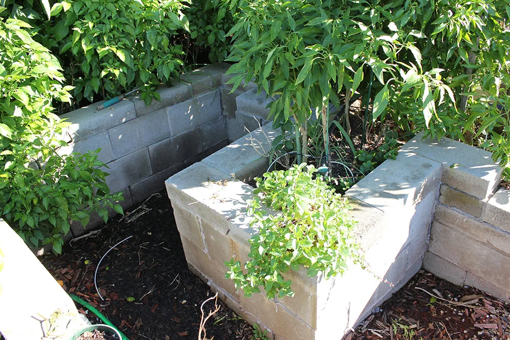 Cinder block garden bed