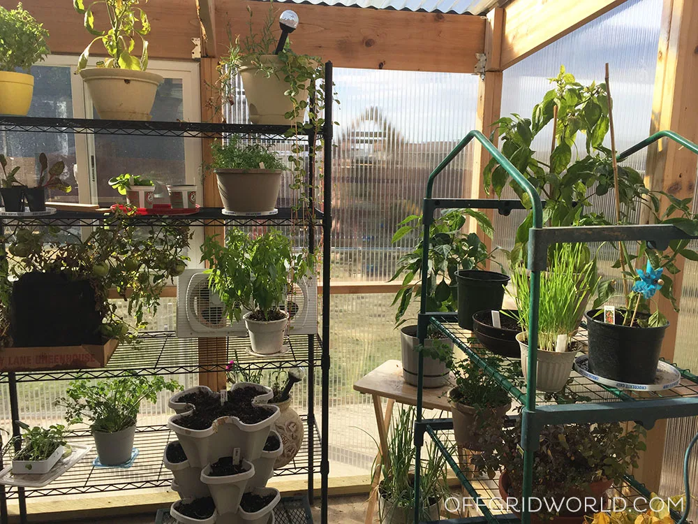 DIY greenhouse