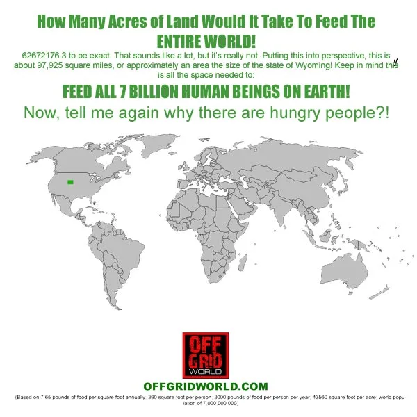 Feed The World