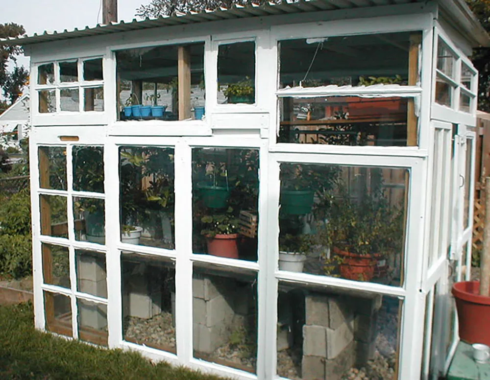 Greenhouse made from old windows