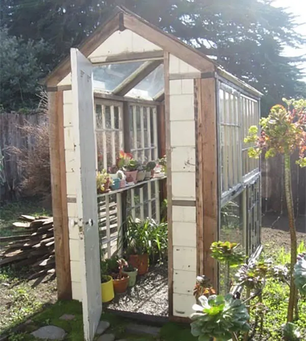 Greenhouse made with old windows