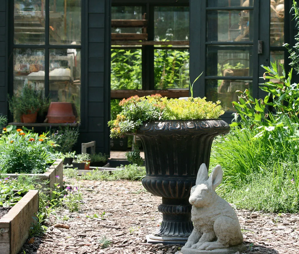 Greenhouse made with old windows