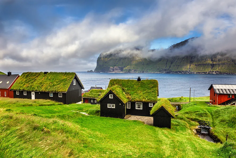 Grow a living roof