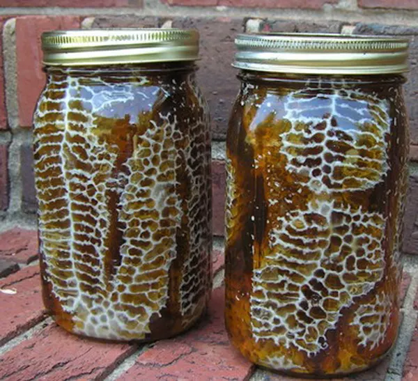 jar-beehive5