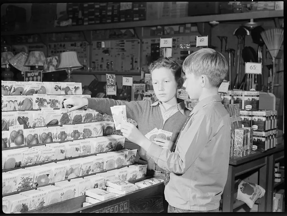 Children choosing garden seeds