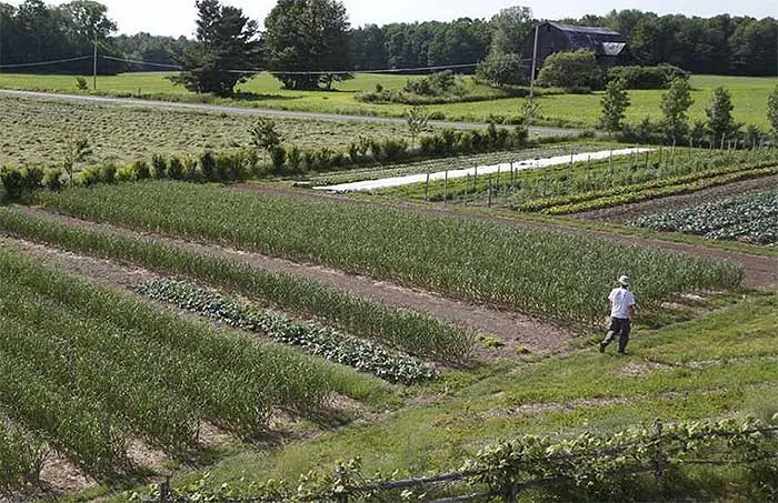 Small farm in Quebec