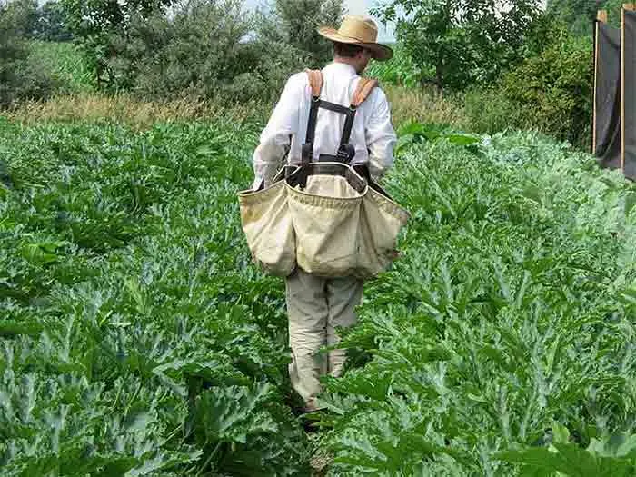 Farming a small acreage