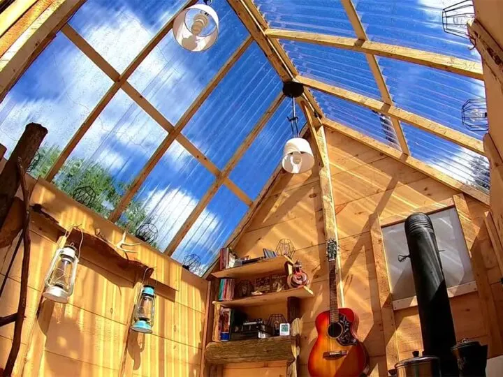 Cabin with greenhouse roof