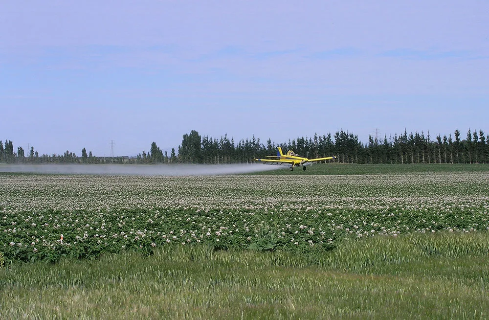 Protect bees from pesticides