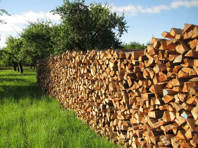 Firewood pile