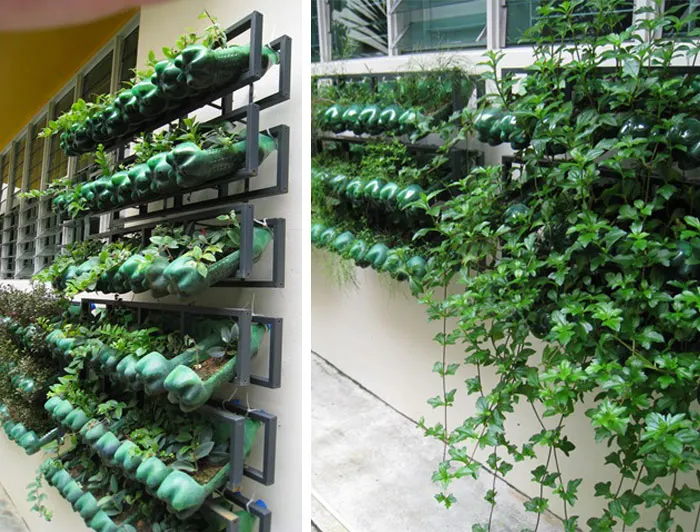 vertical-garden4